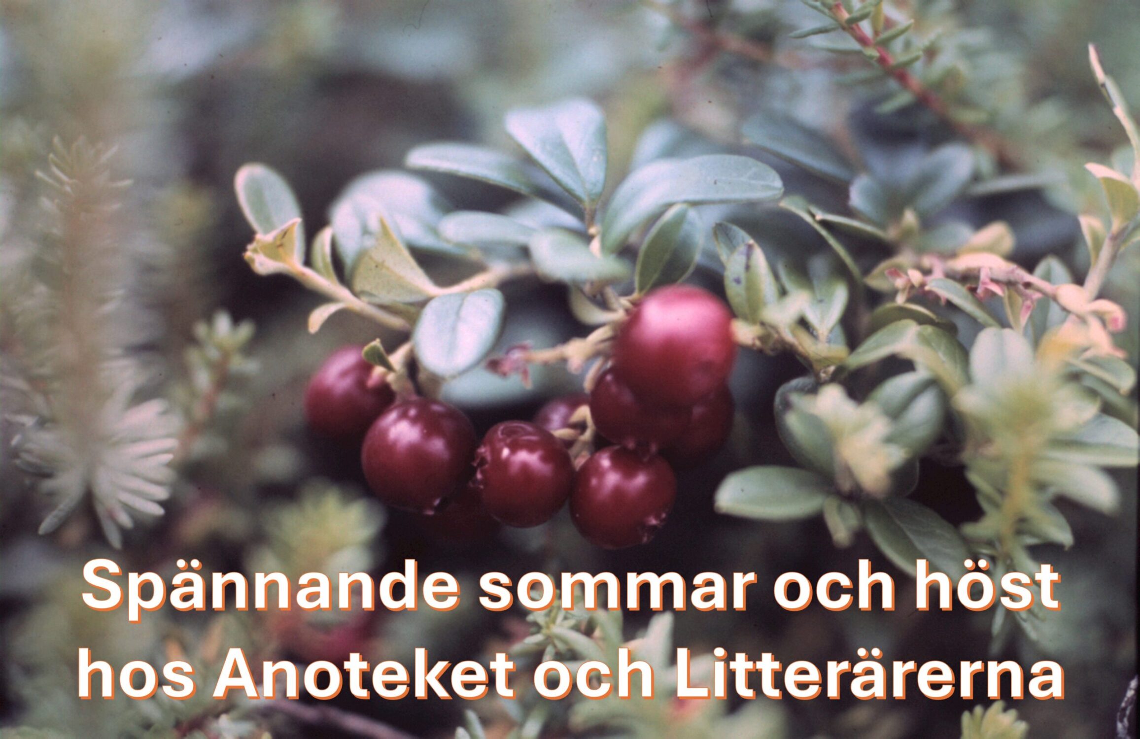 Spännande sommar och höst hos Anoteket och Litterärerna!
